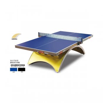 红双喜金彩虹3乒乓球台（不带灯）（售价：21800元/付）