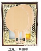 ���SP10�װ�