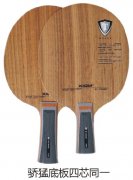 ���͵װ���оͬһ