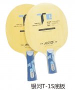 ����T-1S�װ�