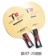 ����T-2S�װ�