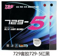 729׽729-5