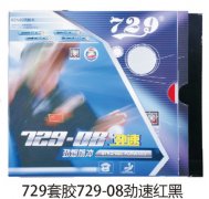 729׽729-08ٺ