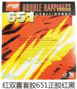 ˫ϲ׽651