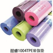 1004TPE٤
